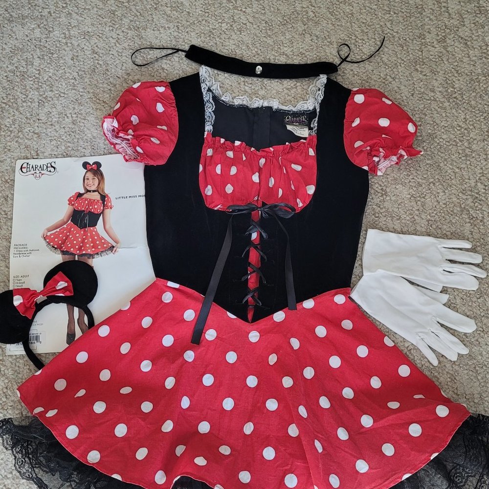 Little Miss Mouse Halloween Costume